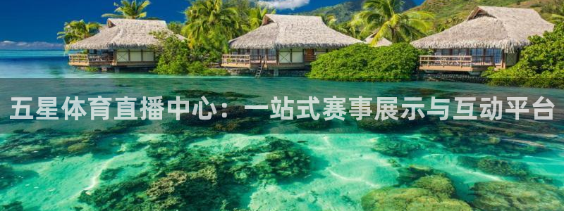 五星体育直播中心：一站式赛事展示与互动平台