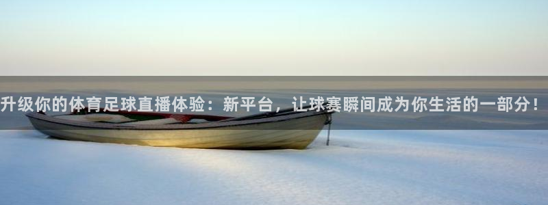 升级你的体育足球直播体验：新平台，让球赛瞬间成为你生活的一部分！