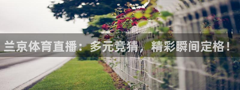 兰京体育直播：多元竞猜，精彩瞬间定格！