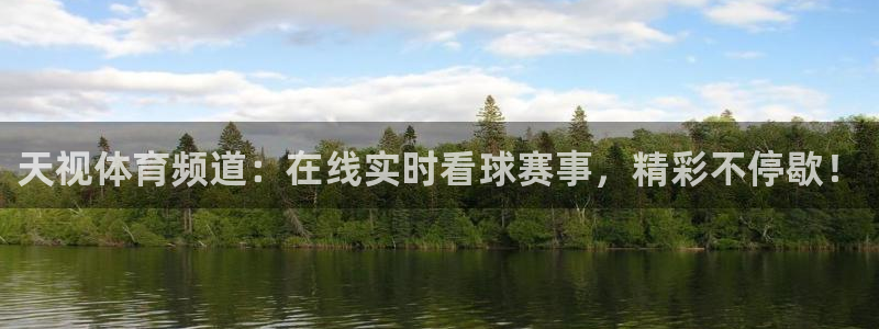天视体育频道：在线实时看球赛事，精彩不停歇！