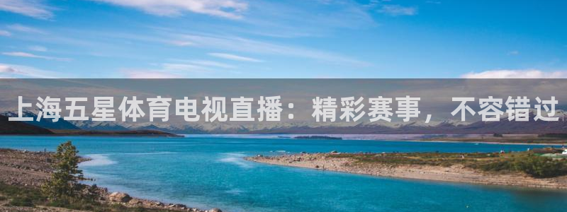上海五星体育电视直播：精彩赛事，不容错过