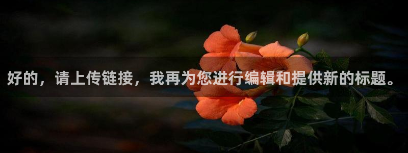 好的，请上传链接，我再为您进行编辑和提供新的标题。