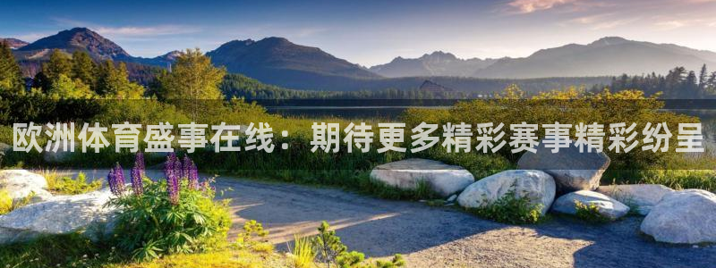 欧洲体育盛事在线：期待更多精彩赛事精彩纷呈
