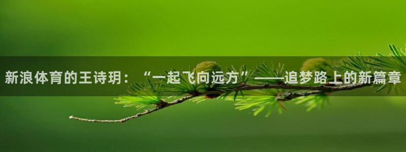 新浪体育的王诗玥：“一起飞向远方”——追梦路上的新篇章