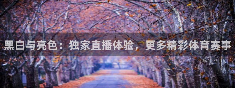黑白与亮色：独家直播体验，更多精彩体育赛事