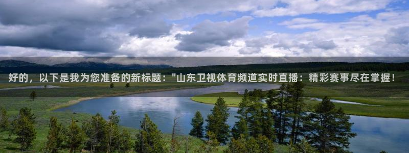 好的，以下是我为您准备的新标题：\