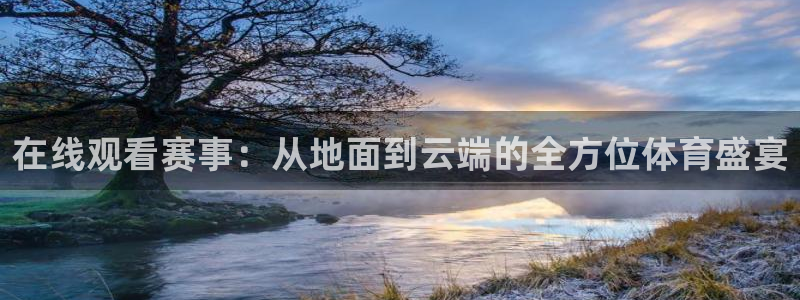 在线观看赛事：从地面到云端的全方位体育盛宴