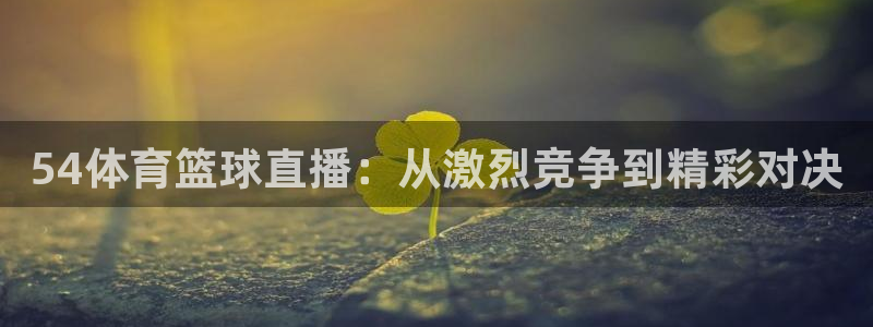 54体育篮球直播：从激烈竞争到精彩对决